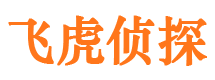 铁岭市场调查